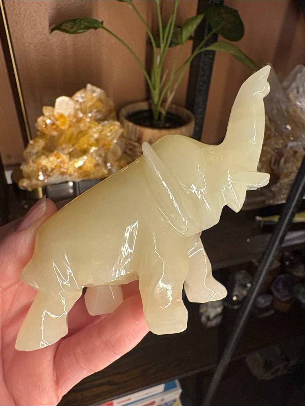 Onyx Elephant